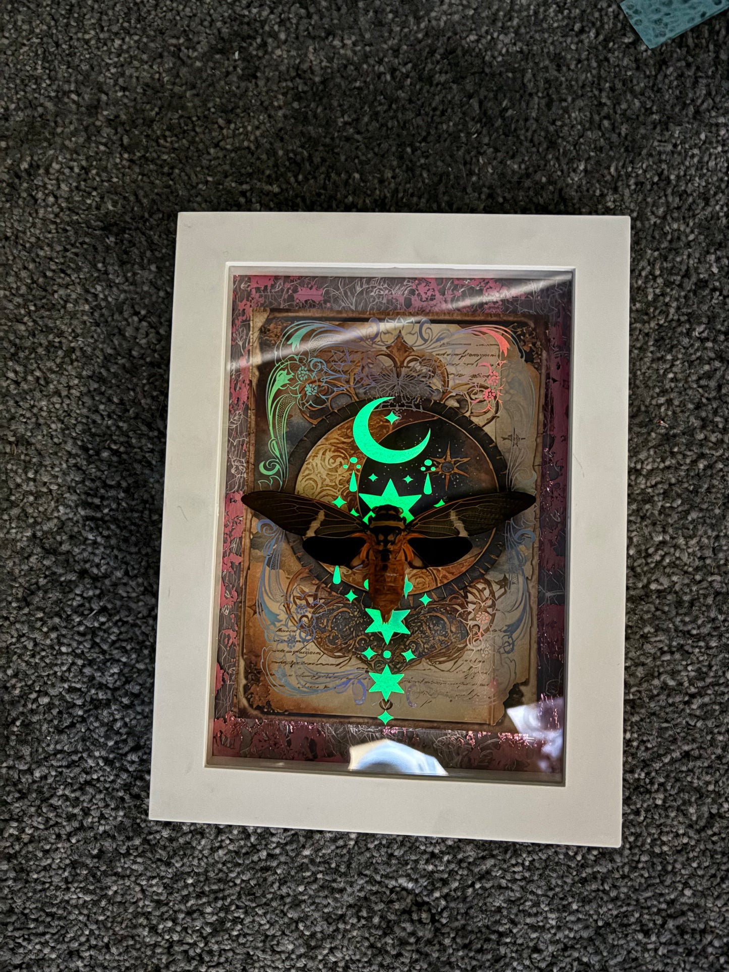 Eye catching White 5”x7” Shadowbox Framed Cicada (Tosena melanoptera) on Holographic, Glow in the Dark Background. Entomology, Dark Art, Insects, Oddities