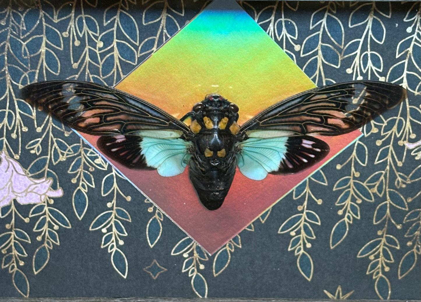 5"x7" Beautiful Blue Winged Cicada on Holographic Accented Flower Background. Entomology art, insect art, oddities, gothic aesthetic