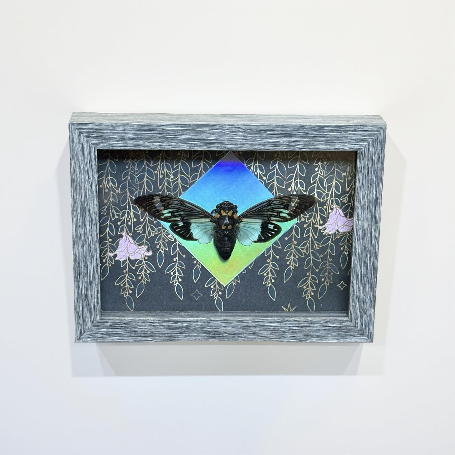 5"x7" Beautiful Blue Winged Cicada on Holographic Accented Flower Background. Entomology art, insect art, oddities, gothic aesthetic