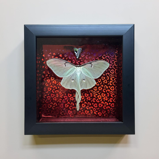 6"x6" Valentine Luna Moth For Travis