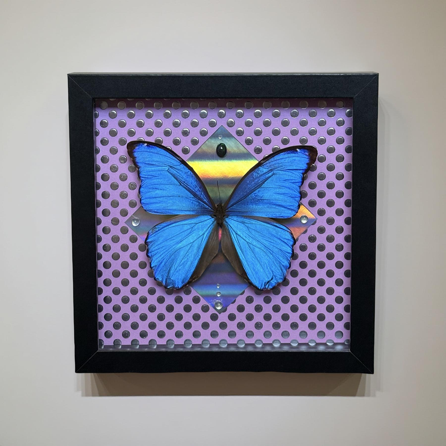 8"x8" Shadowbox- Electric Blue Morpho Butterfly on Pink with Silver Polka-Dot  Holographic Background with Genuine Black Welo Opal Accent- Butterfly art, insect art, entomology, gemstone