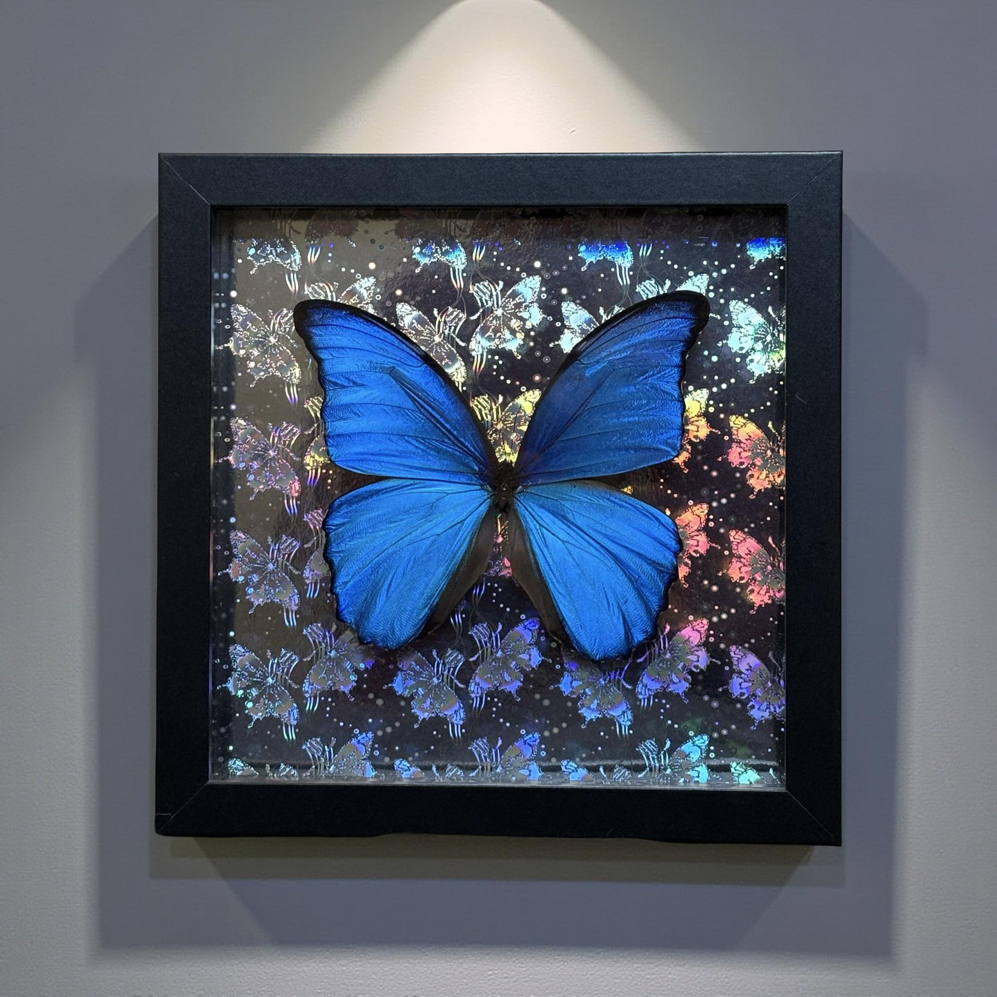 8"x8" Shadowbox- Spectacular Metallic Blue Morpho Butterfly on Holographic Background- Framed Art, entomology art, insect art, gothic aesthetic, oddities