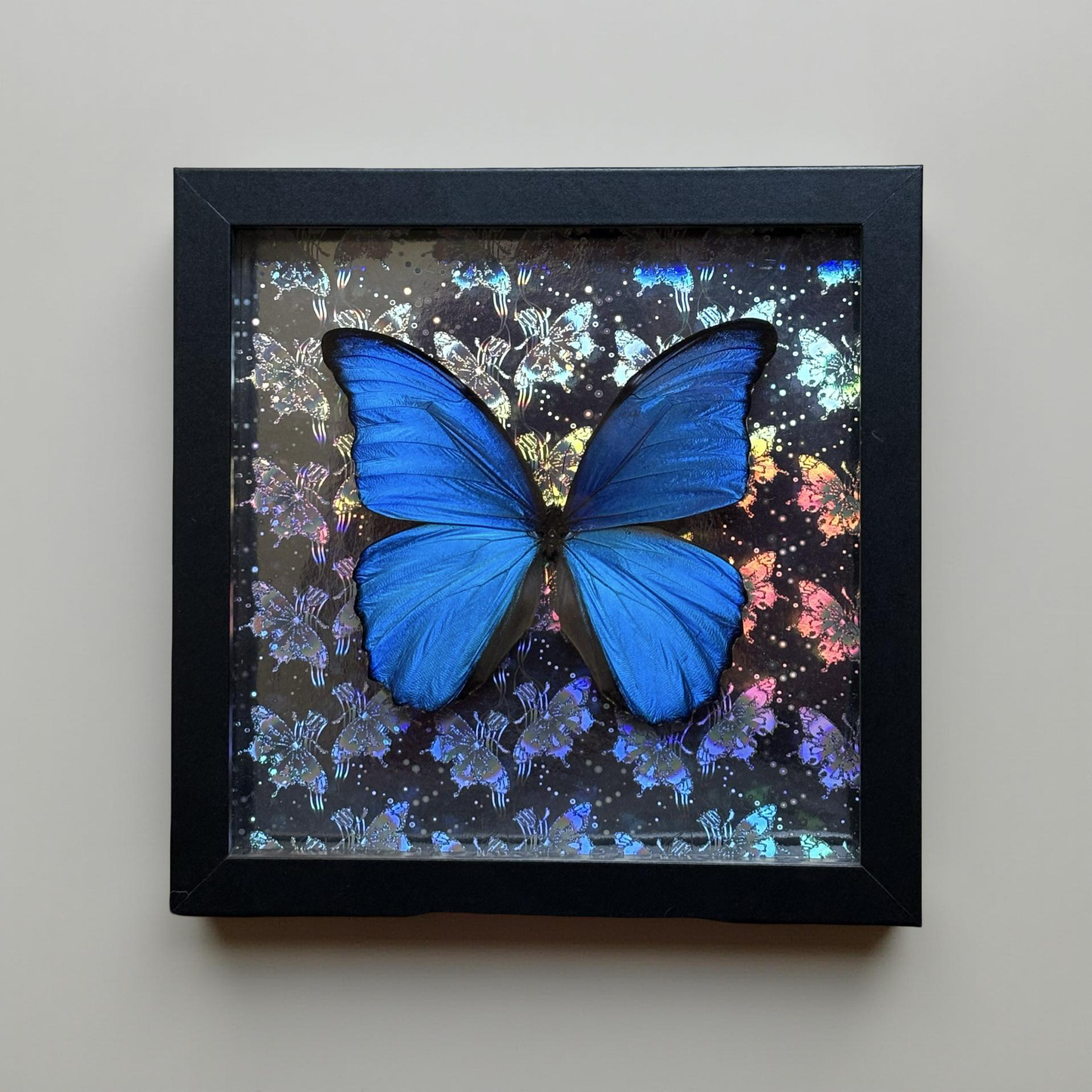 8"x8" Shadowbox- Spectacular Metallic Blue Morpho Butterfly on Holographic Background- Framed Art, entomology art, insect art, gothic aesthetic, oddities