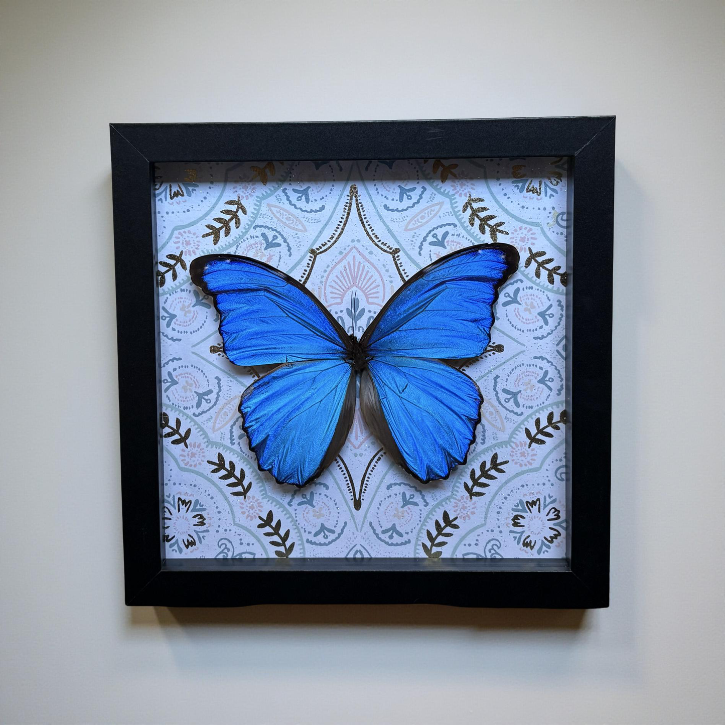 8"x8" Shadowbox- Large Beautiful Framed Blue Morpho Butterfly Art on Shimming Gold Background