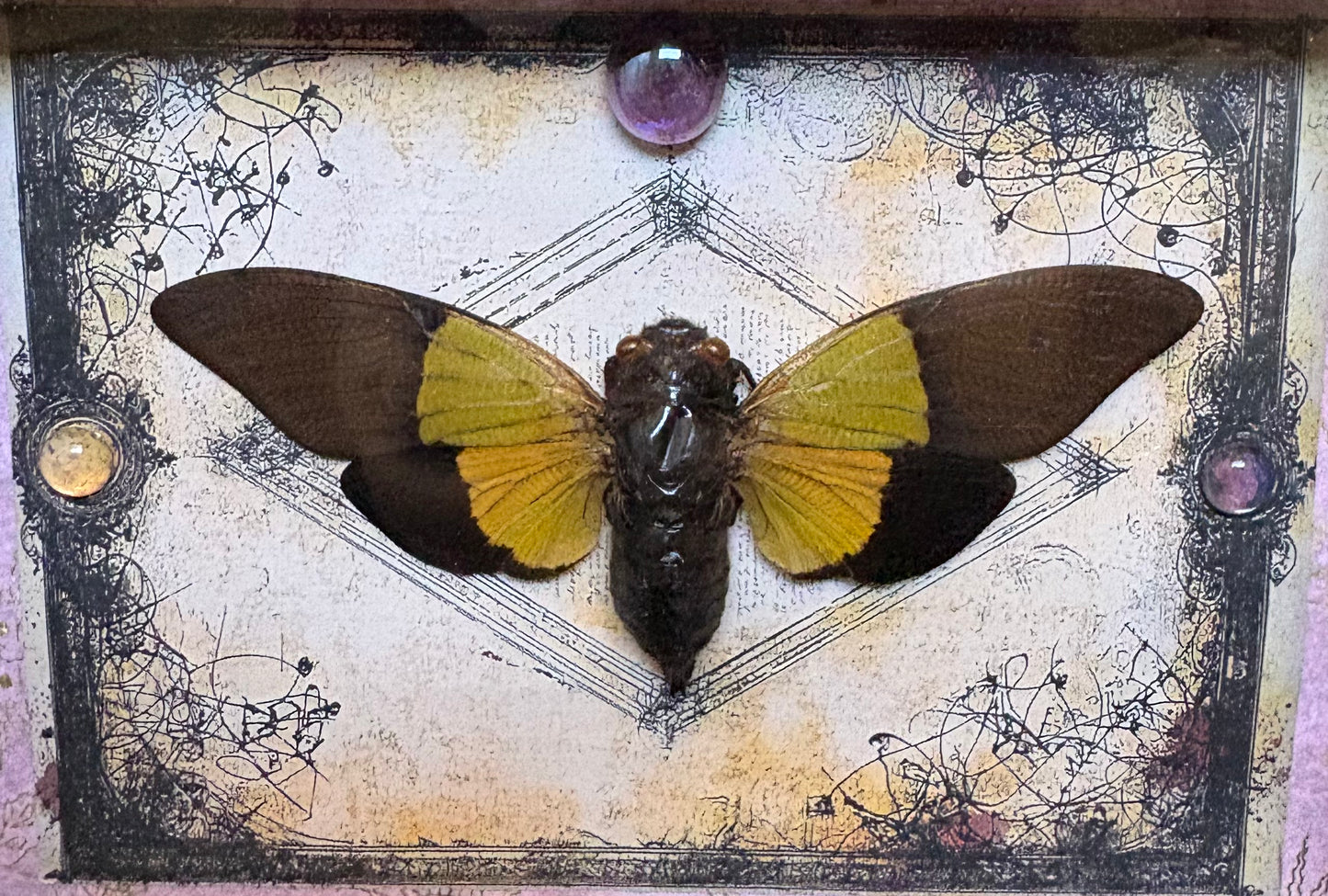 5"x7" Shadowbox- Black and Green Cicada on Flourish Background with Glass Marble Accents and Holographic Celestial Washi Tape Frame. Entomology art, insect art, gothic, dark aesthetic