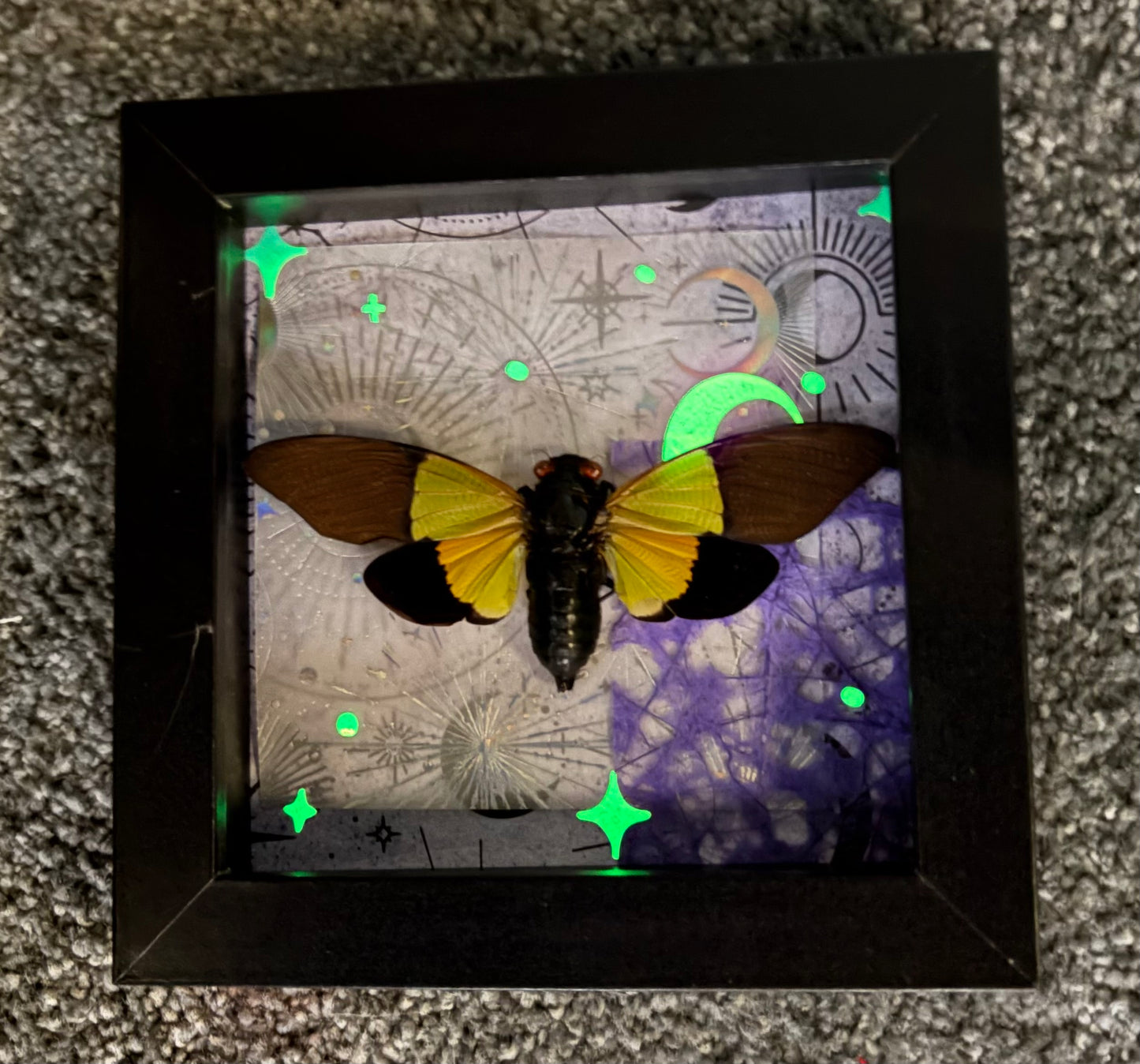 5”x5” Shadowbox with Green Winged Cicada on Celestial Background with Glow in the Dark, Holographic Accents